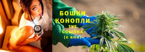 ALPHA PVP Новодвинск