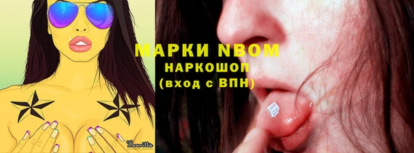 стафф Новокубанск