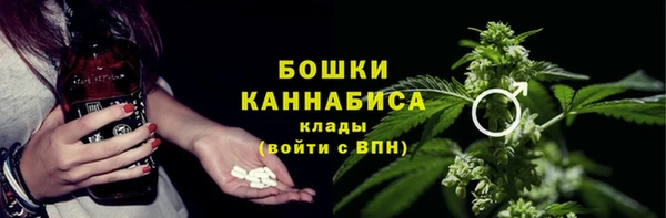 стафф Новокубанск