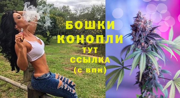 ALPHA PVP Новодвинск