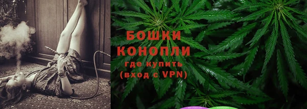 стафф Новокубанск