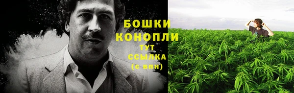 стафф Новокубанск