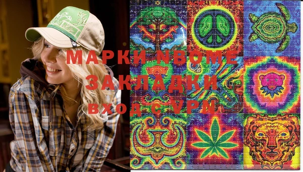 стафф Новокубанск